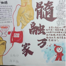 图片15.png